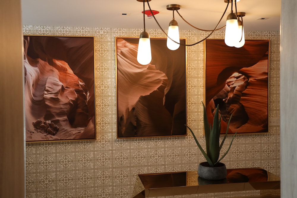 Hotel Paso Del Norte Autograph Collection - photo 50