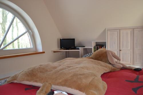 Friesenhus — 4-Star Luxury Hotel in Toenning, Germany