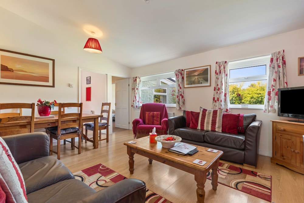 Poppy at Gorslwyd Sound Retreat in Cardigan, United Kingdom