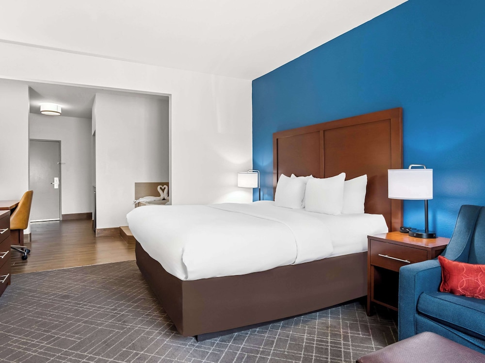 Comfort Suites Lindale Tyler North - photo 19