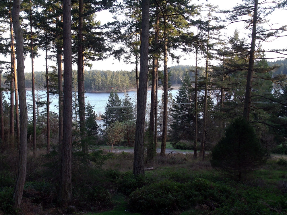 Inn to the Woods B&B - photo 33
