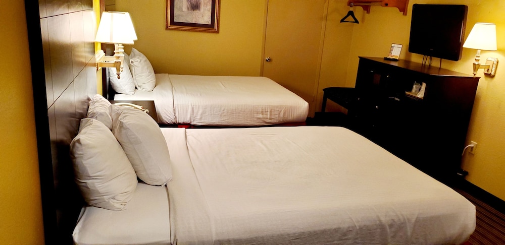 Sweet Dream Inn - photo 13