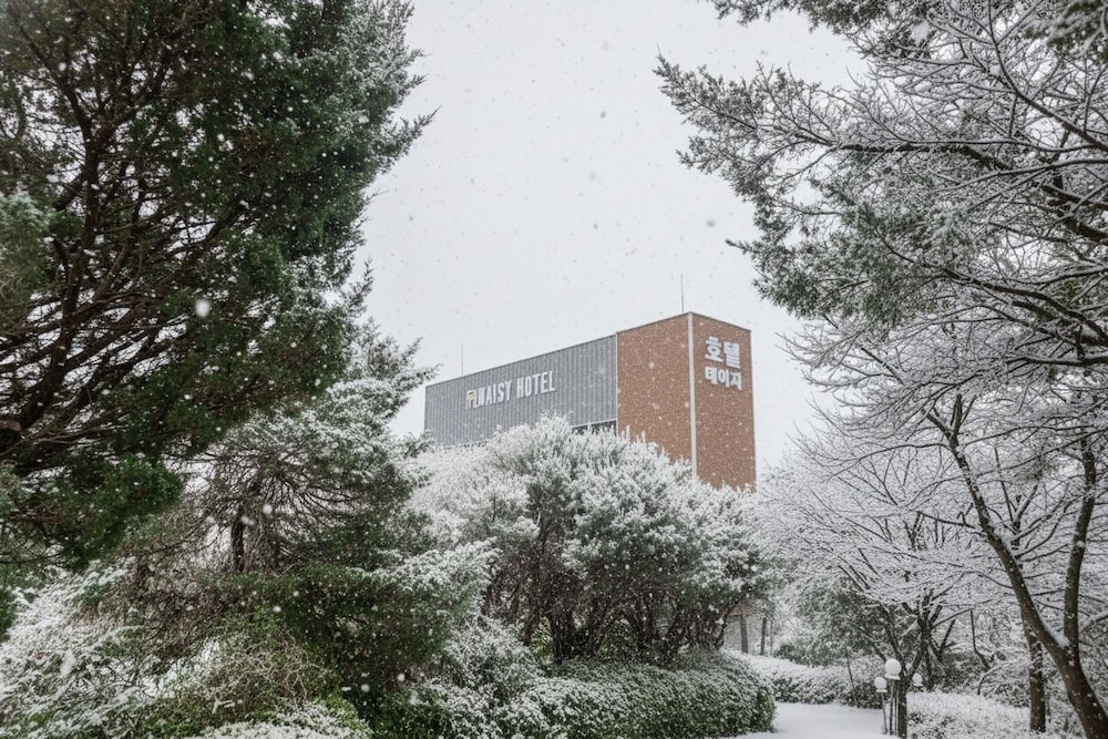 Daisy Hotel — hotel in Yangp'yong