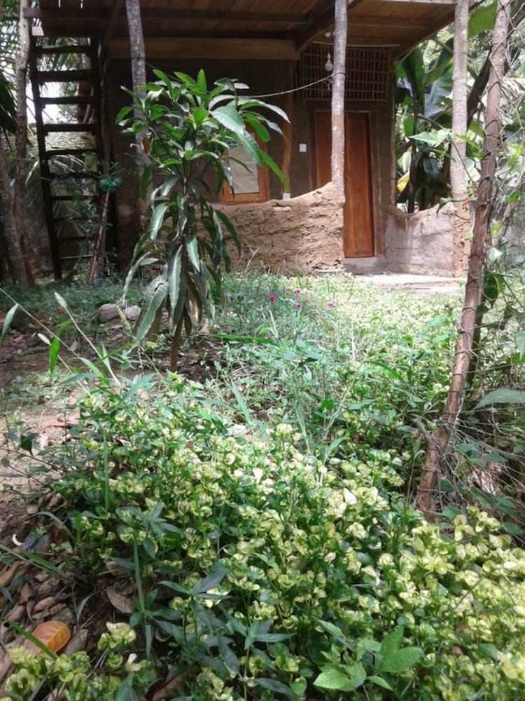 Green leaf cabanas in Tangalle, Sri Lanka
