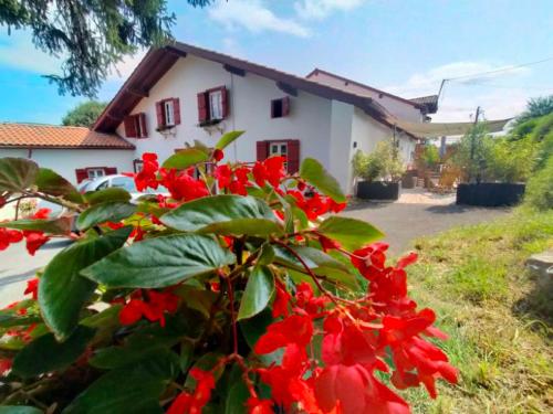 Au Coeur du Pays Basque Entre Mer Et Montagne - carbon neutral hotel in Unknown City
