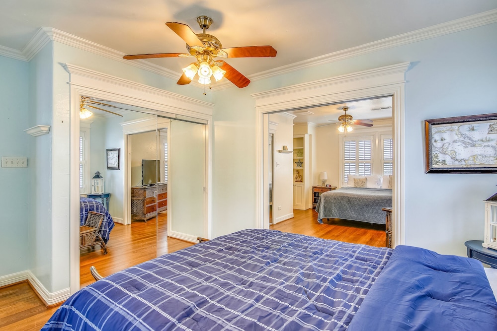 The Turquoise Turtle - photo 5