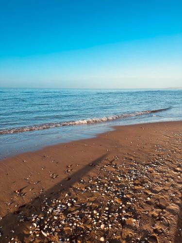 Joli T2 Situe Dans Le Coeur de Cabourg in Cabourg, France