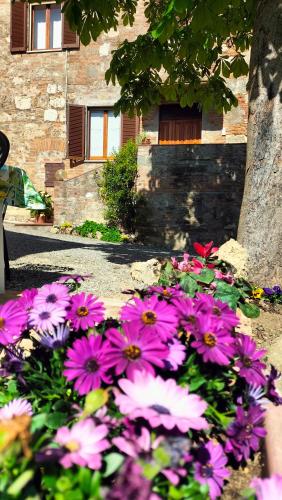 L'oca Nera — 4-Star Luxury Hotel in Chiusi, Italy
