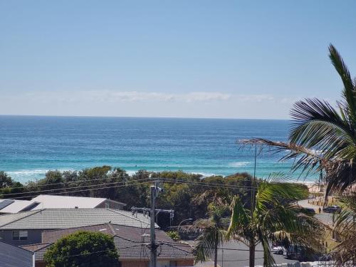 Sunrise Wonder — Forster — photo 2