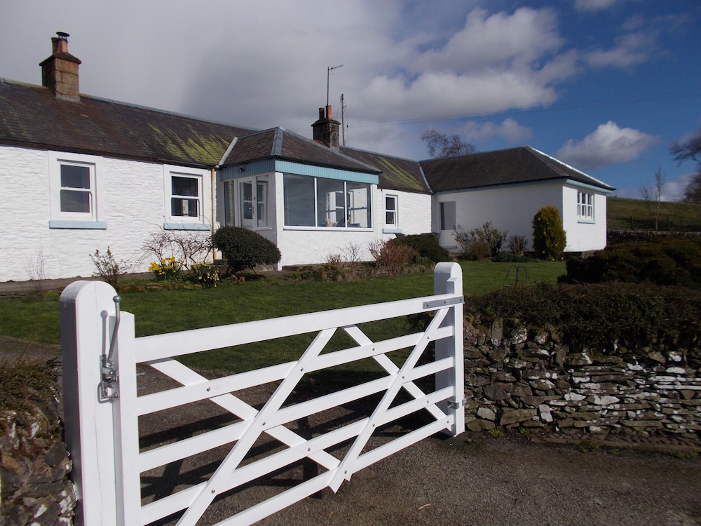 Bluebell Bank in Dumfries, United Kingdom