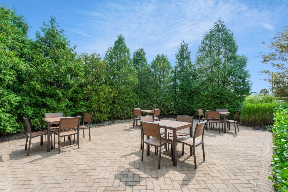 Hilton Garden Inn Islip MacArthur Airport - photo 30