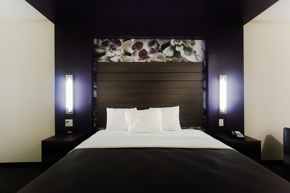 Palacio Royale Inn Boutique Katy - photo 11