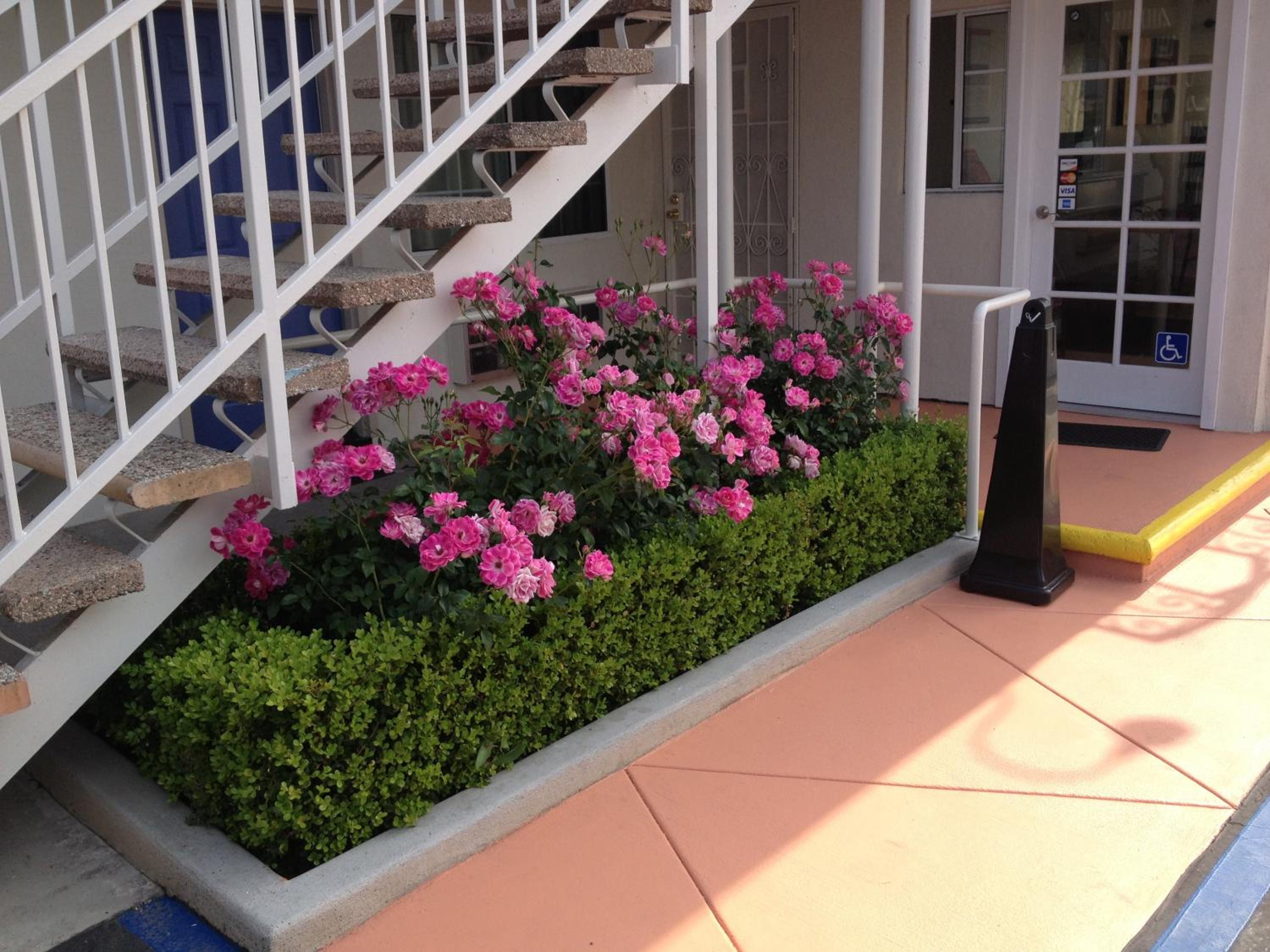 Motel 6 Gardena - photo 27