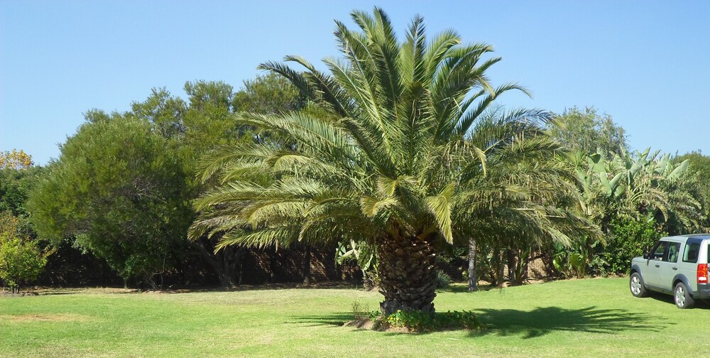 Serene Pastures in Midrand, South Africa