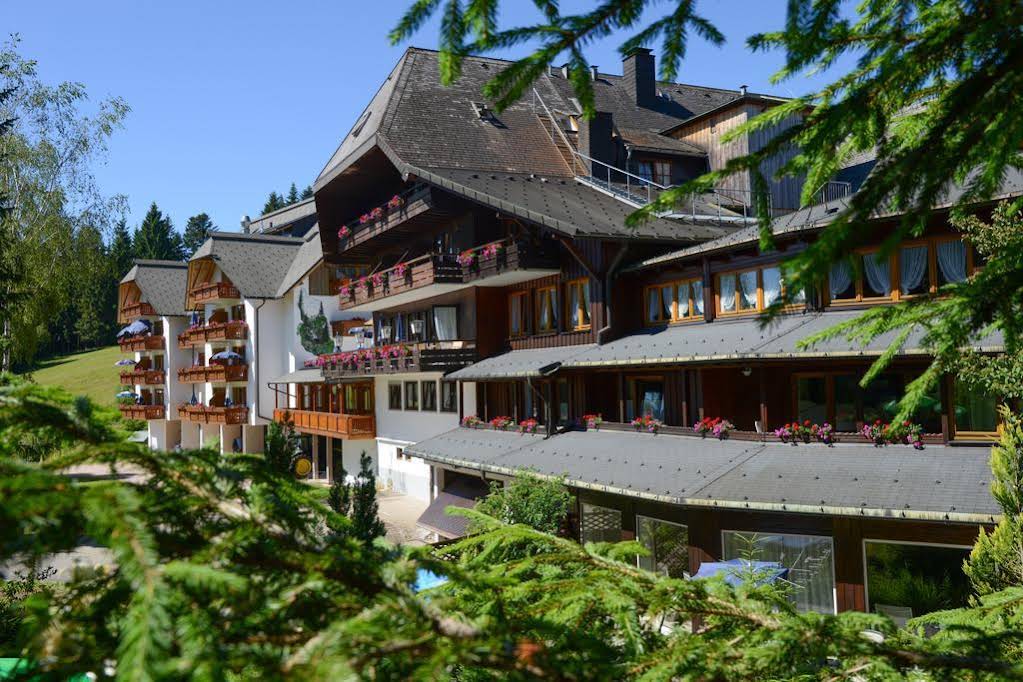 Hotel Schöne Aussicht — hotel in Hornberg