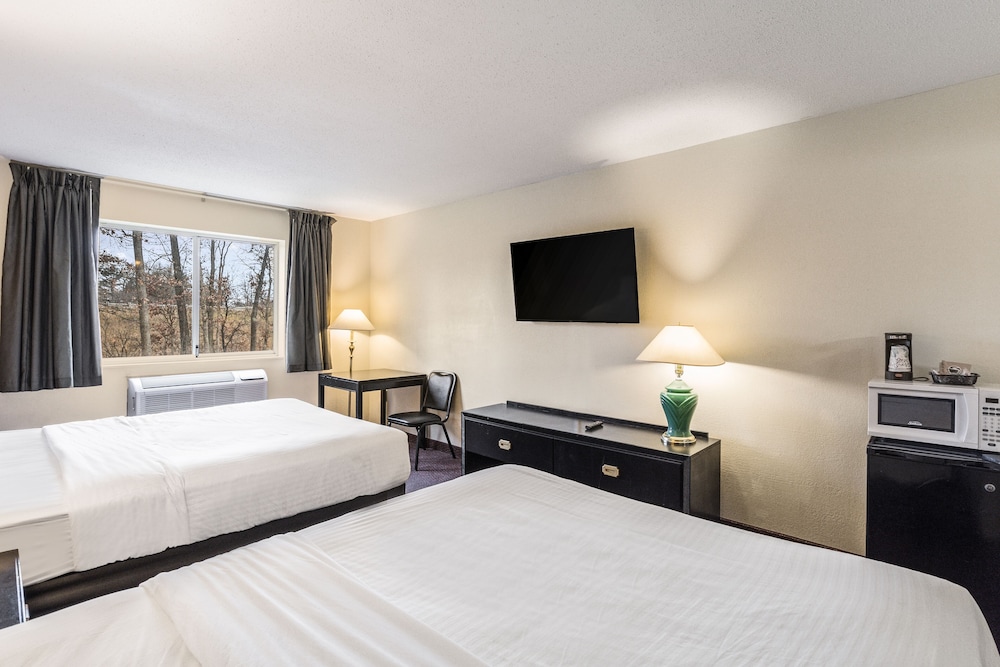 Econo Lodge Whitehall near Michigan's Adventure - photo 4