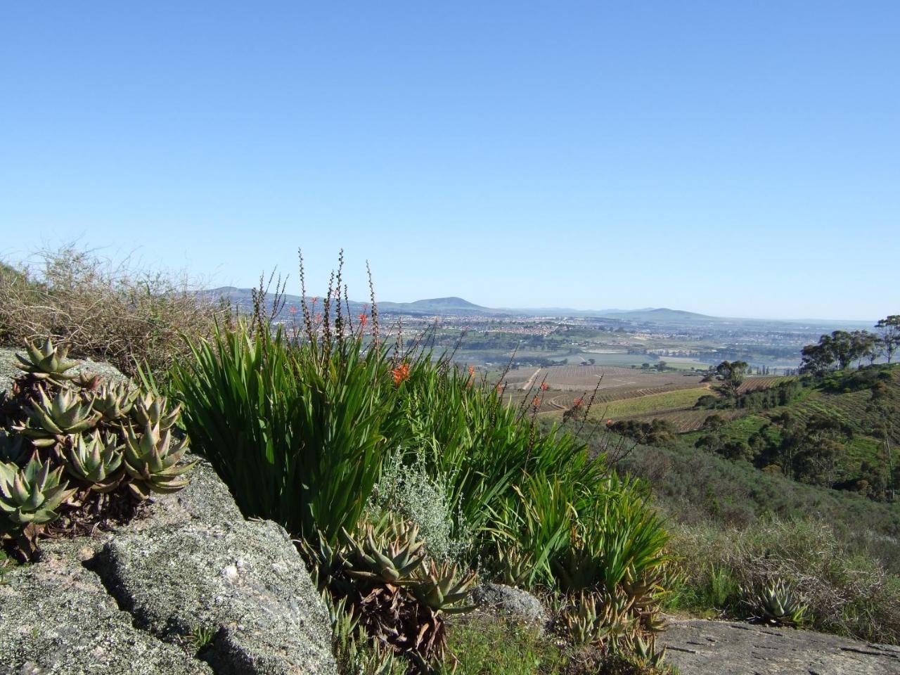 Mooiplaas Wine Estate