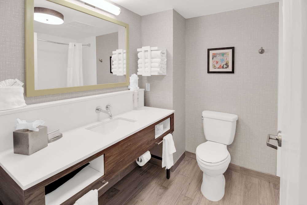 Hampton Inn & Suites Sarasota Bradenton Airport FL - photo 62
