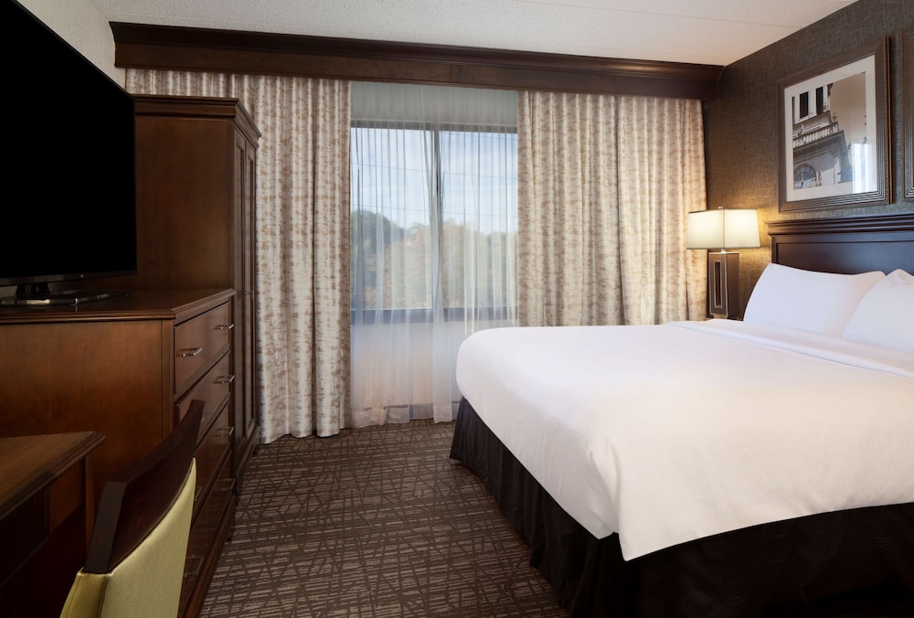 Embassy Suites by Hilton Philadelphia Airport - photo 17