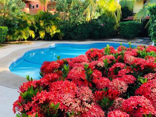 Valle Dorado 9 - last minute hotel in Unknown City