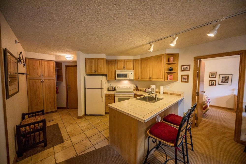 Iron Horse by Stay Winter Park - photo 7