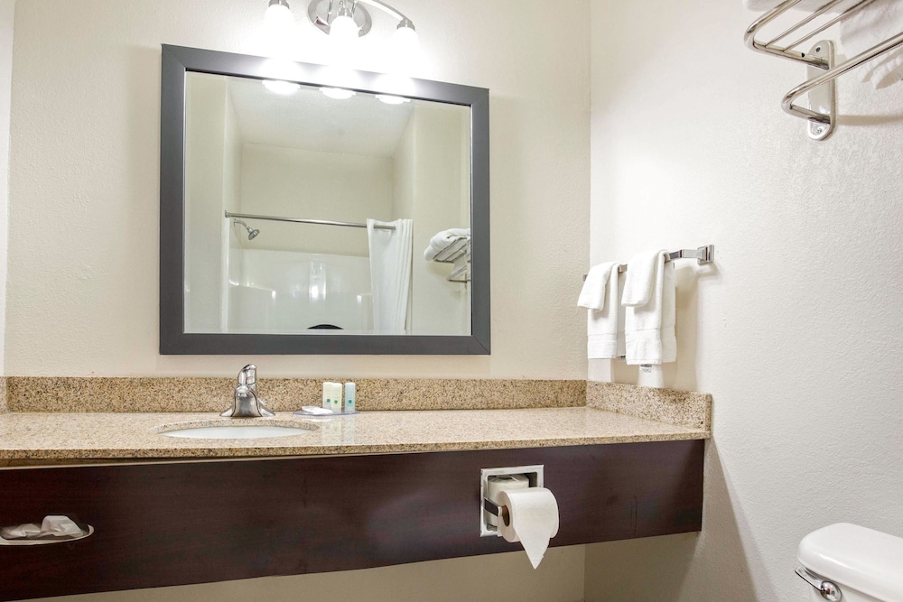 Quality Inn & Suites Arnold St Louis - photo 29