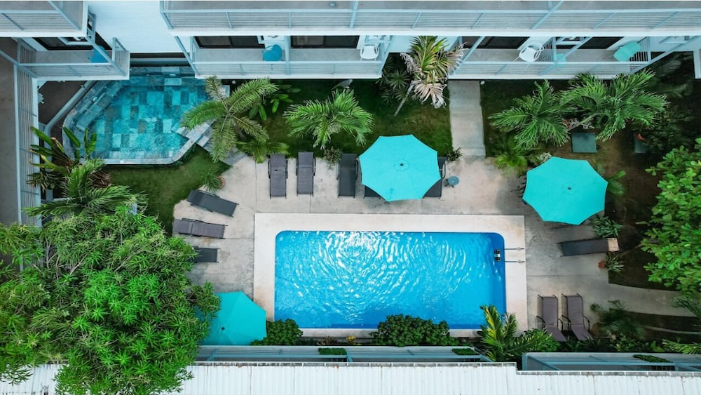 Wide Mouth Frog Hotel — hotel near Quepos Managua Airport