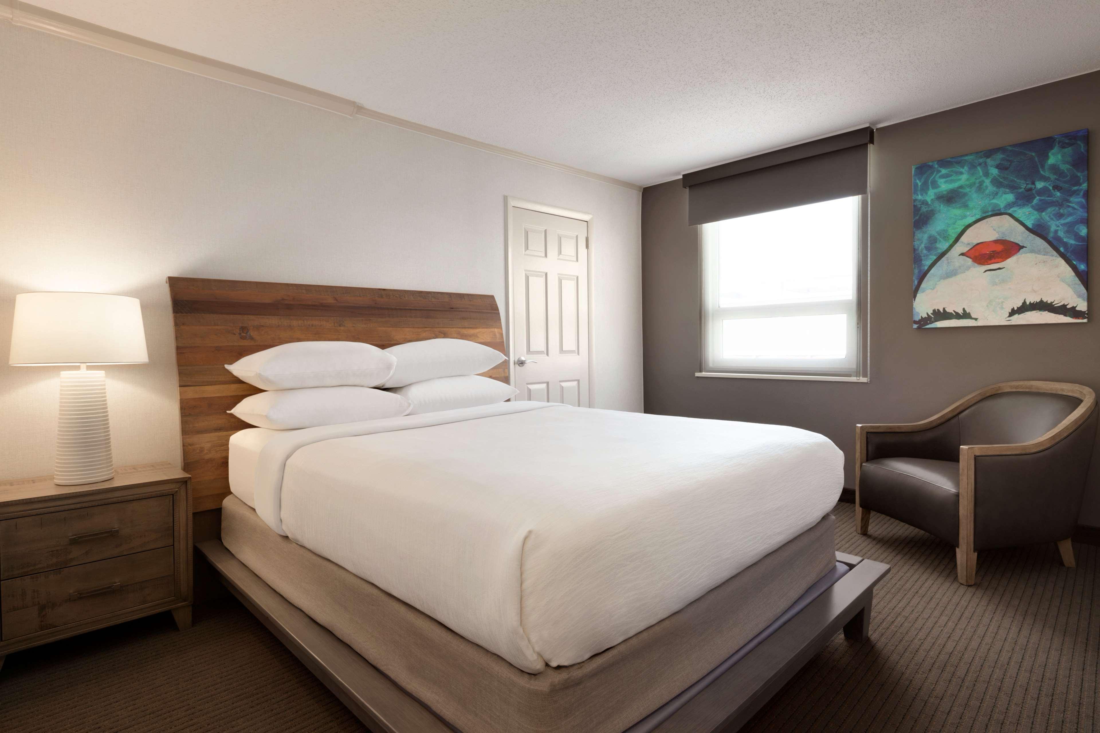 Embassy Suites by Hilton Baltimore Inner Harbor - photo 12