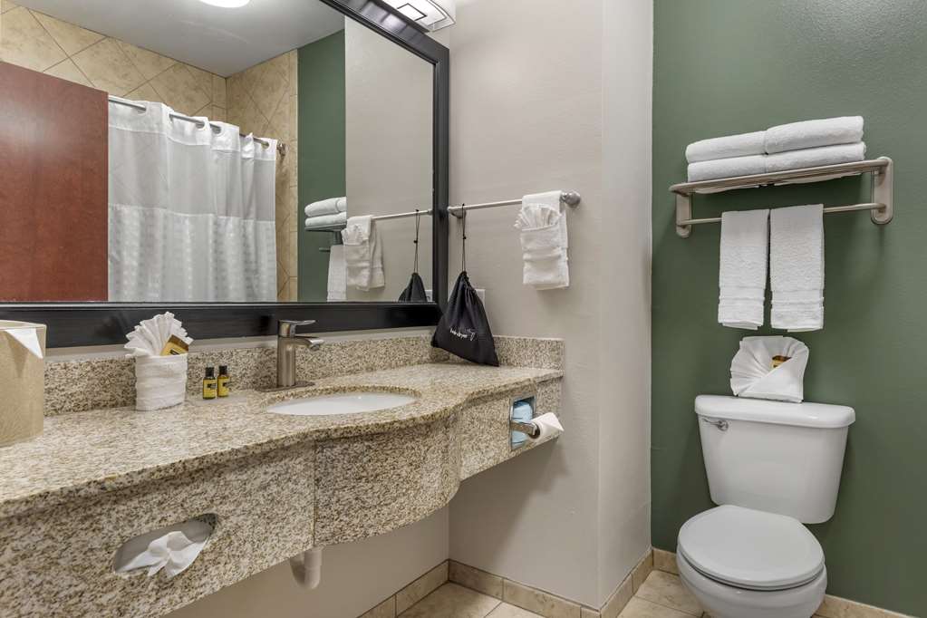 Best Western Plus Duncanville Dallas - photo 12