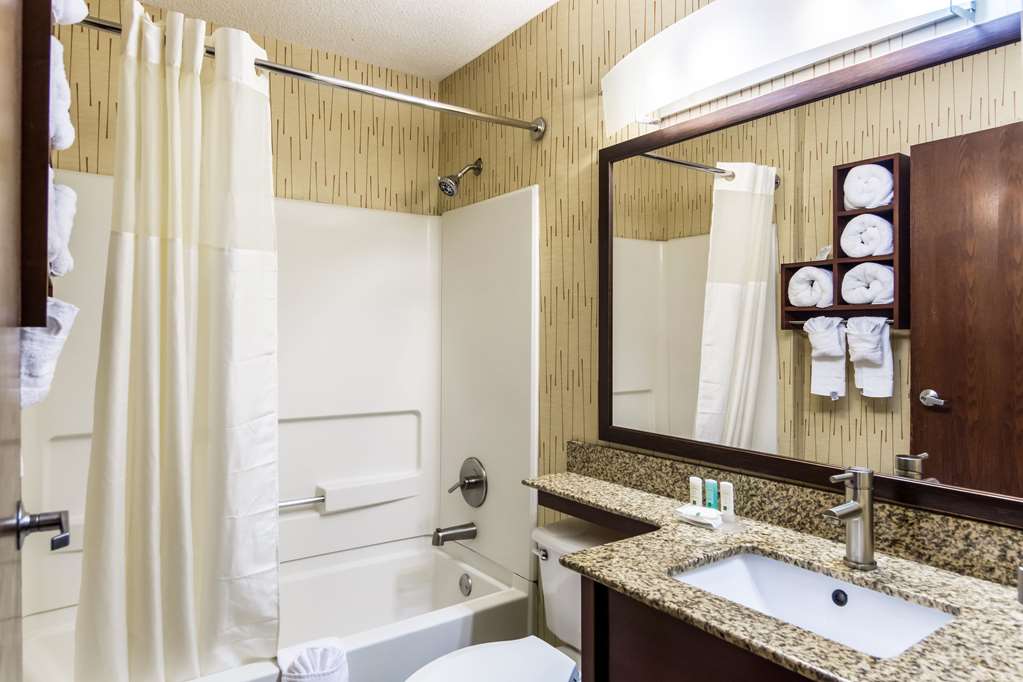 Quality Inn Chester South Richmond - photo 16