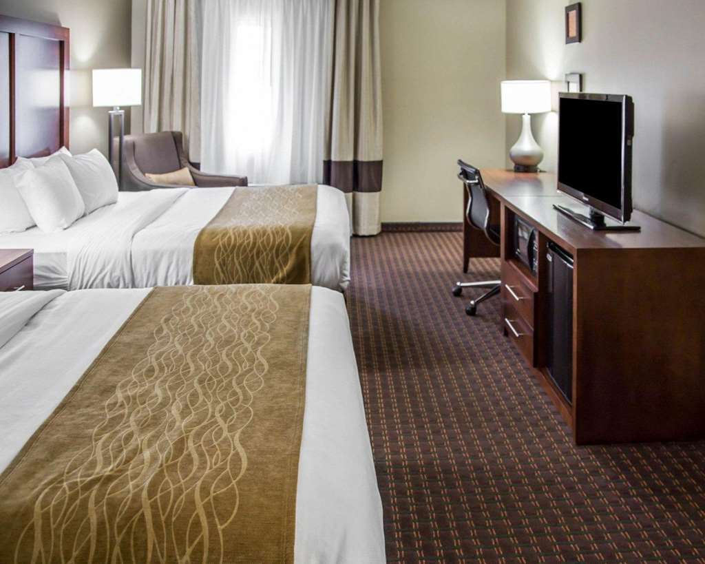 Comfort Inn & Suites Riverview near Davenport and I 80 - photo 13