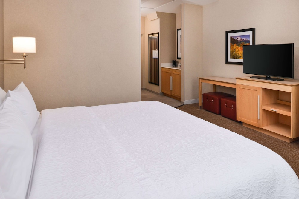 Hampton Inn & Suites Denver Speer Boulevard - photo 10