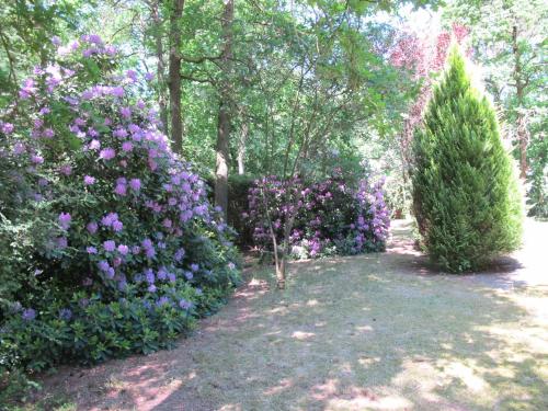 Rossis Haus — Schneverdingen — photo 5