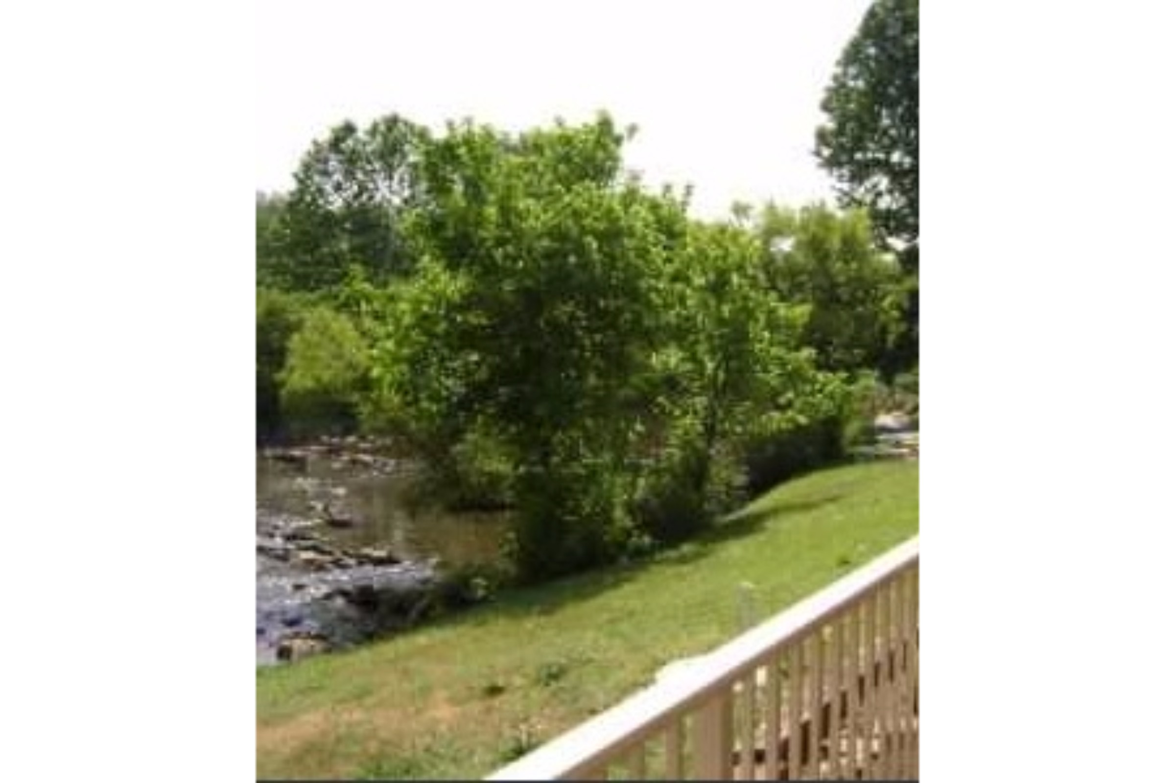 Econo Lodge Pigeon Forge TN - photo 24