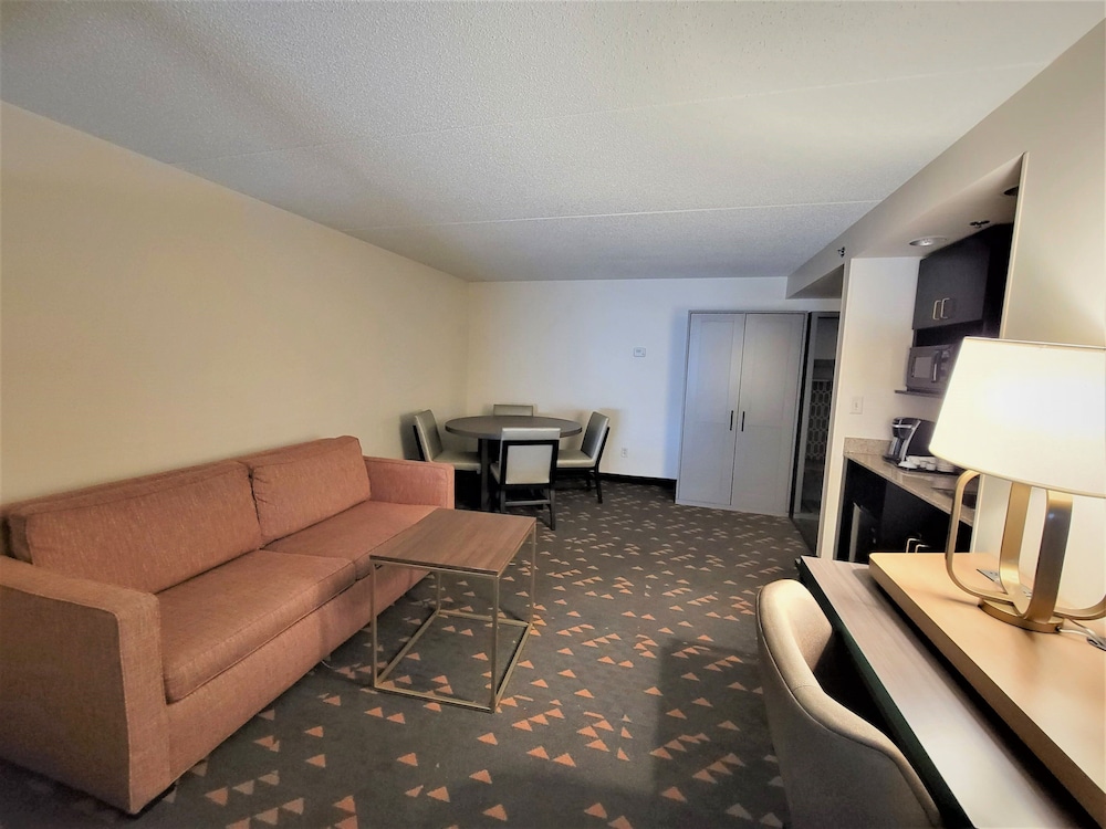 Holiday Inn & Suites Ann Arbor Univ Michigan Area by IHG - photo 13