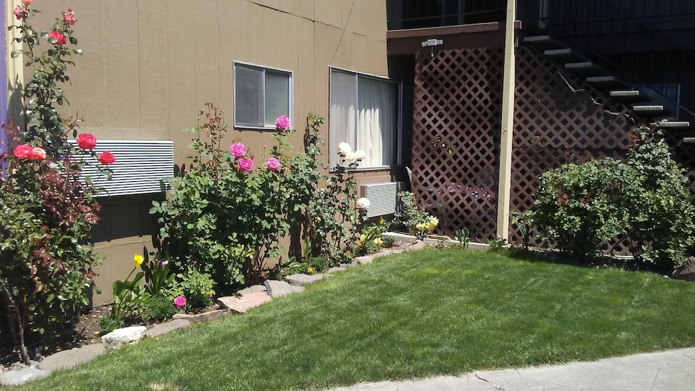 Cedars Inn Lewiston - photo 32