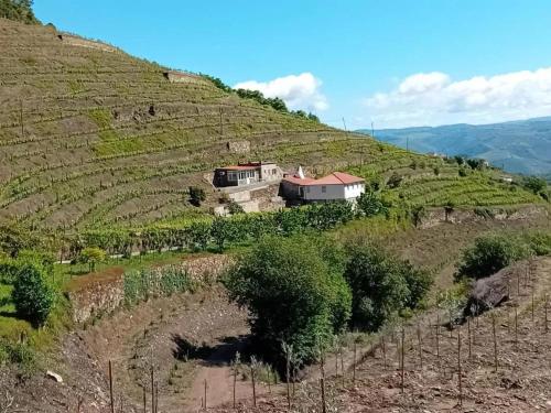 Charming Villa with Pool in Lamego — 4-Star Luxury Hotel in Lamego, Portugal