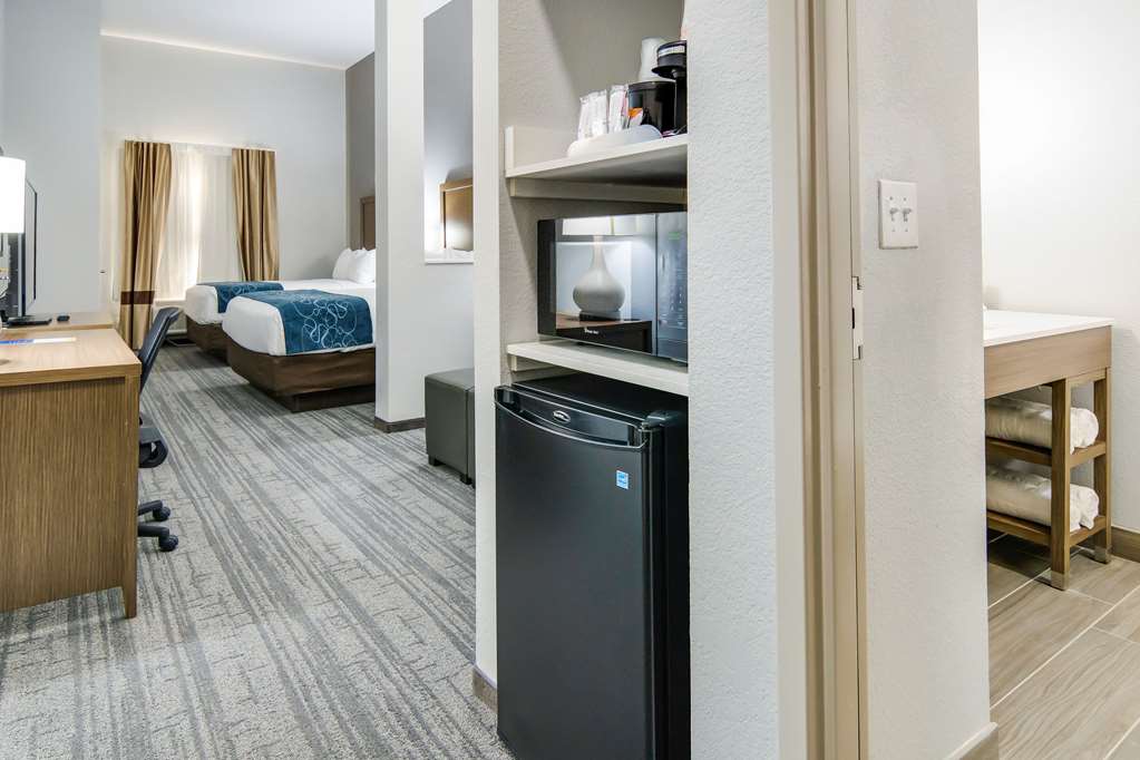 Comfort Suites DeSoto Dallas South - photo 35