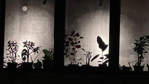 Guesthouse Chela
