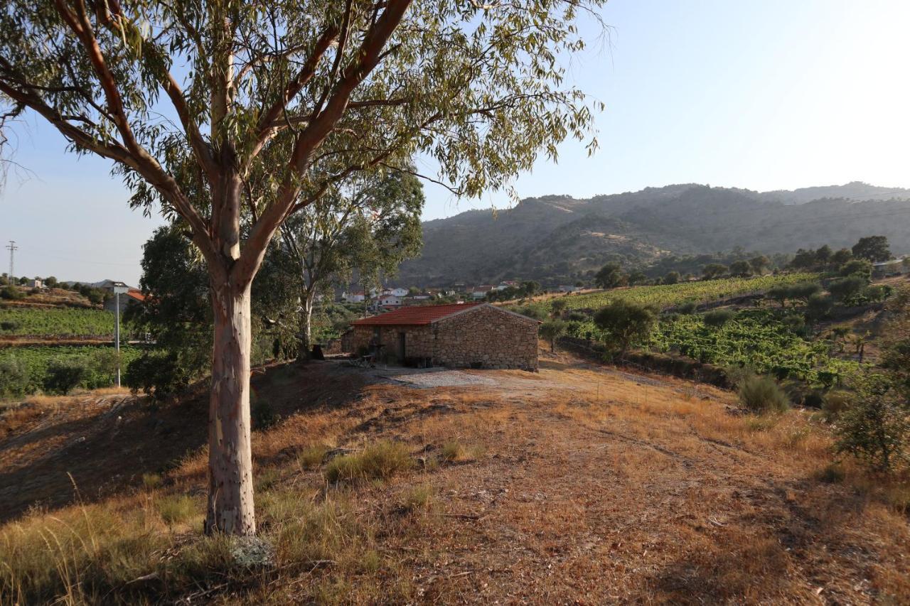 Quinta de Gandarem — hotel in Torre De Moncorvo