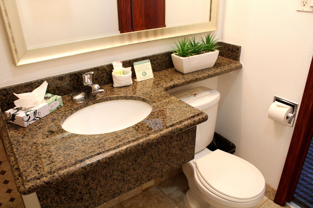 Pacific Inn and Suites - photo 26