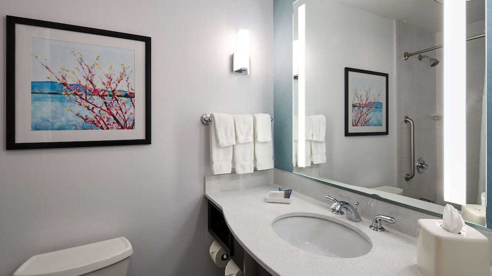 Hilton Garden Inn Merrillville - photo 26