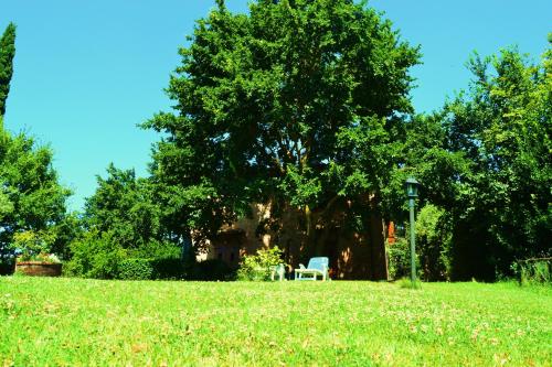 Colle sul Lago in Castiglione Del Lago, Italy