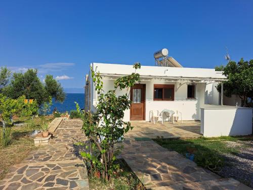 Blue Fox 3 — 4-Star Luxury Hotel in Messini, Greece