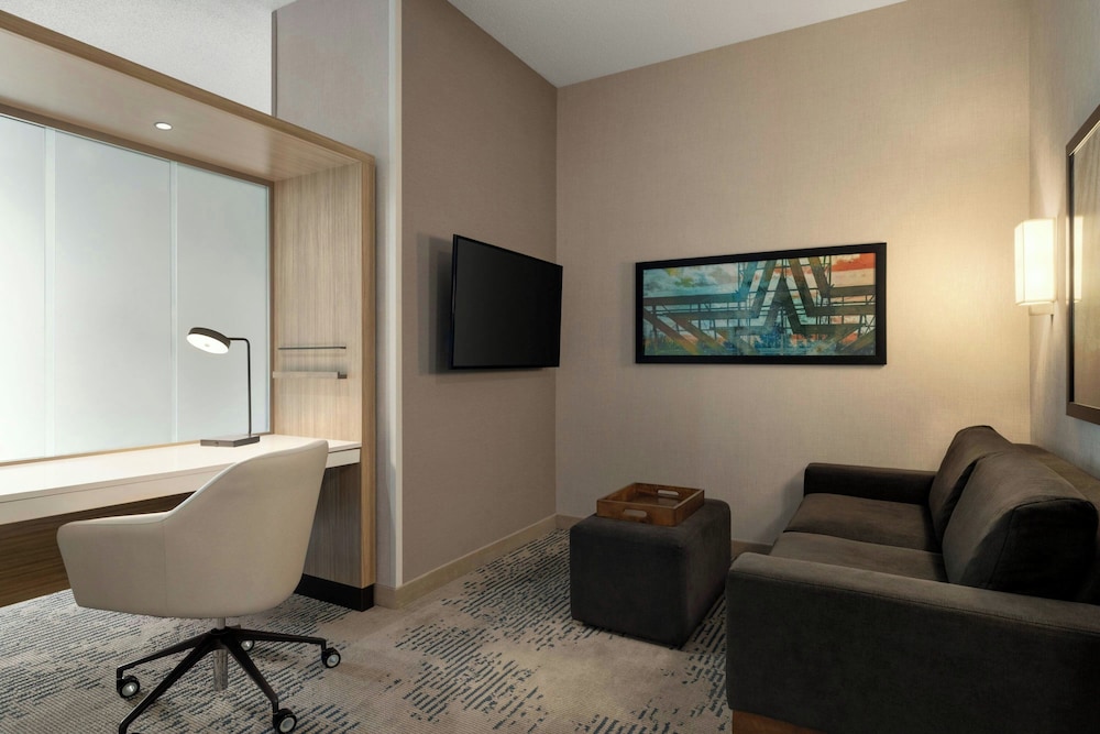 SpringHill Suites by Marriott Roanoke - photo 14