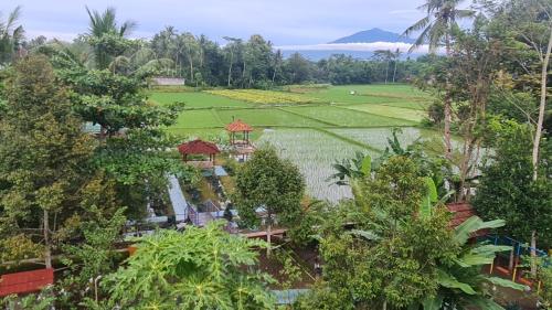 Anugrah Borobudur — 4-Star Luxury Hotel in Magelang, Indonesia