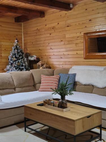 Vikendica Crkvina — Kolasin — photo 3