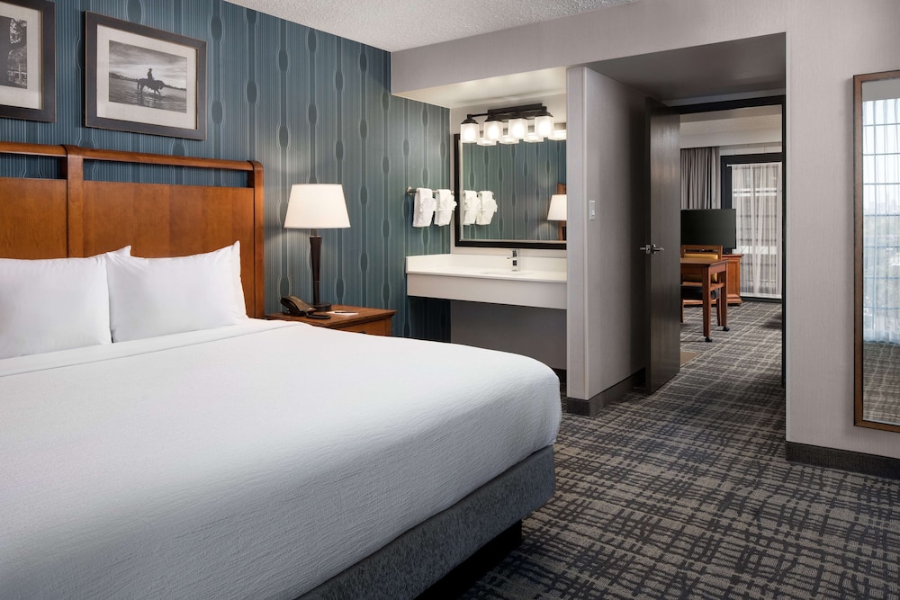 Embassy Suites by Hilton Austin Central - photo 11