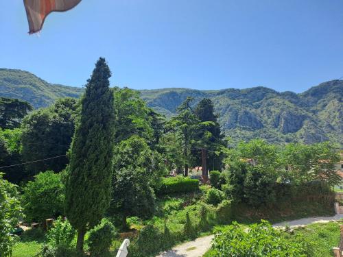 N&B Apartment Kotor — 4-Star Luxury Hotel in Kotor, Montenegro