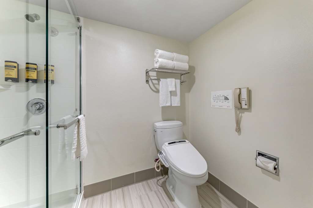 Best Western Plus Executive Inn - photo 41